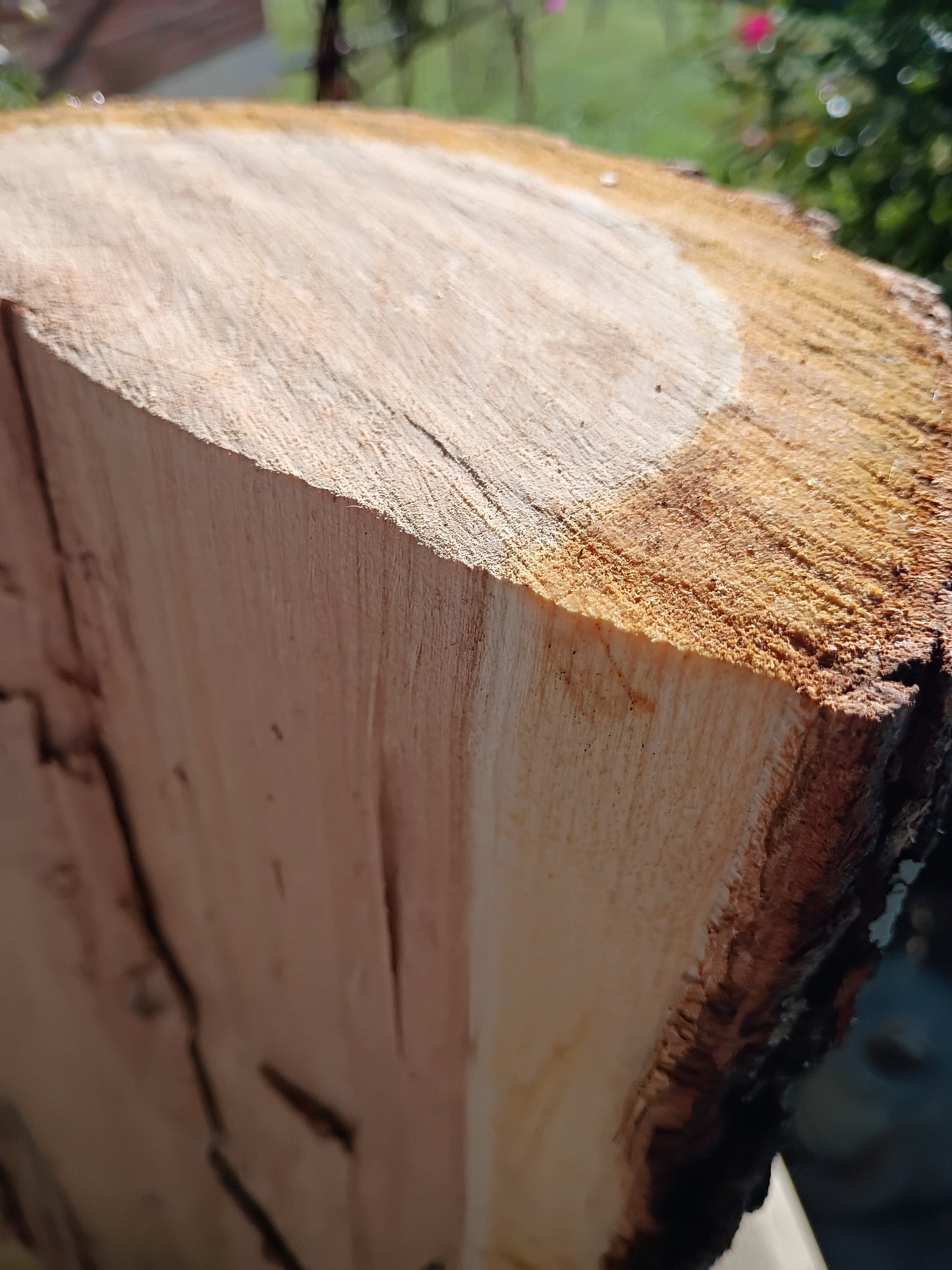 Cooking Wood Chunks - for BBQs, Grills & Smokers 20 lb Box